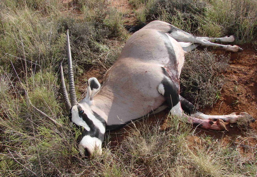 Afrika 2007 257
