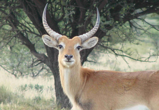 Afrika 2007 348
