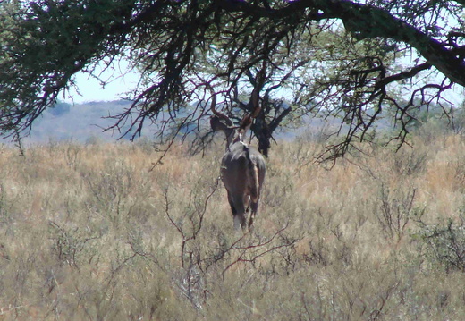Afrika 2007 424
