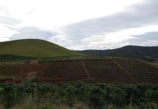 imgp8386