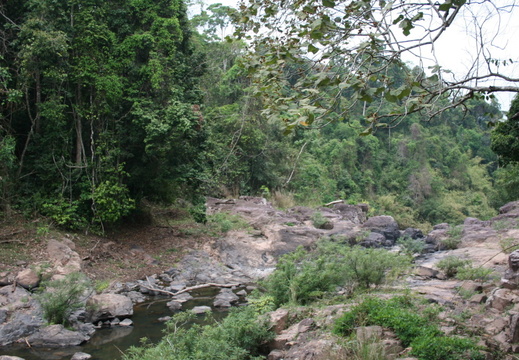khao-yai-np