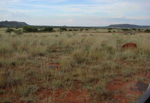Afrika 2007 338