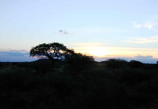 Afrika 2007 379