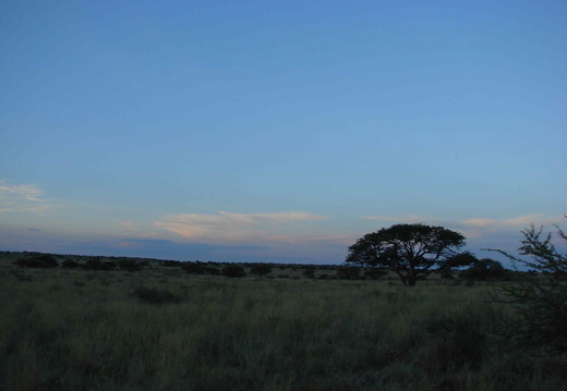 Afrika 2007 384