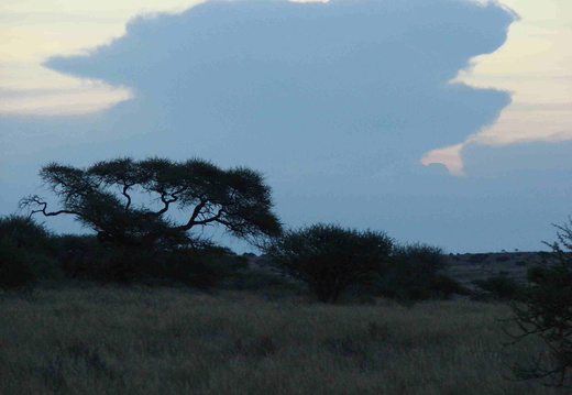 Afrika 2007 393