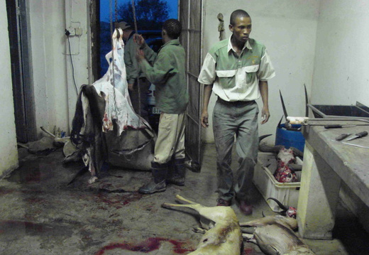 Afrika 2007 395