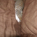 PA090034